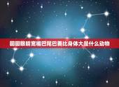 圆圆眼睛宽嘴巴尾巴要比身体大是什么动物，猜迷语:圆圆眼睛宽嘴巴，尾巴要