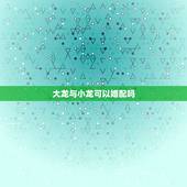 大龙与小龙可以婚配吗，女的属大龙、男的属小龙能结婚吗？