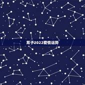 双子2022爱情运势，双子座2021年每月运势