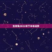 生肖兔2022年下半年运势，1963年属兔男2022年每月运程