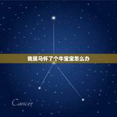 我属马怀了个牛宝宝怎么办，我属马生了两个牛宝宝好不好