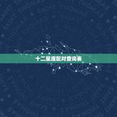 十二星座配对查询表，十二星座配对比重最好的是哪一对