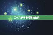 二十八岁半未婚配的生肖，十二生肖中可以配对的是哪几对？