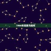 1966年是属马的吗，1966年属马的男人一生