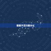 蓉属于五行属什么，五行分别代表什么？