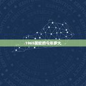 1965属蛇的今年多大，1965年生今年多大