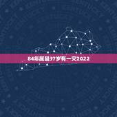 84年属鼠37岁有一灾2022，84年属鼠的今年多大 84属鼠2018