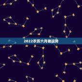 2022农历六月猪运势，1959年农历六月初二辰时出生属猪的命运线