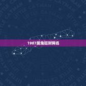1987属兔旺财网名，属兔的吉祥微信名字