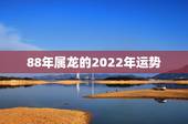 88年属龙的2022年运势，男88属龙更佳婚配属相