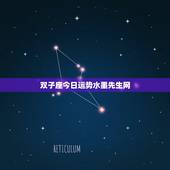 双子座今日运势水墨先生网，双子座考试运势