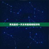 男龙最后一天女羊属相婚配好吗，女属羊与男属龙相配吗