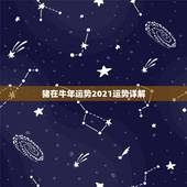 猪在牛年运势2021运势详解，2021属猪人全年运势1971