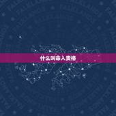 什么叫命入贵格，此女命是否入贵格？