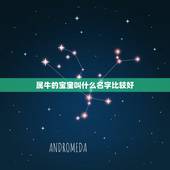 属牛的宝宝叫什么名字比较好，给属牛的女孩起名