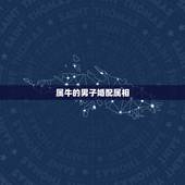 属牛的男子婚配属相，属牛女性和什么属相男性最配
