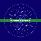 什么属相不适合家里养龟，养龟风水与属相禁忌有哪些