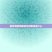 属龙和属狗都相合的属相是什么，属龙的和属狗的能在一起吗
