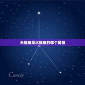 天蝎座是水瓶座的哪个属相，水瓶座和天蝎座有什么共同点？