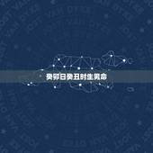 癸卯日癸丑时生男命，丁未丁未癸卯癸丑男