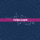 19岁属什么生肖的，今年19岁属什么生肖