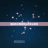 鱼缸的水浑浊怎么办怎么变清，鱼缸水突然变浑浊了，怎么办？