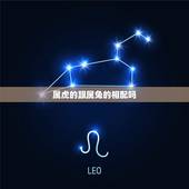 属虎的跟属兔的相配吗，属兔和属虎相配吗