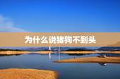 为什么说猪狗不到头，千万不要娶属狗女人