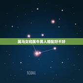 属马女和属牛男人婚配好不好，属牛和马婚姻配吗？