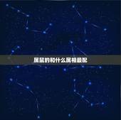属鼠的和什么属相最配，男属鼠的和什么属相最配、相克
