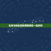 生肖马和生肖蛇两属相在一起好吗，属蛇的和什么属相最配