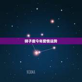 狮子座今年爱情运势，狮子座今年爱情运势如何？