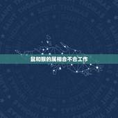 鼠和猴的属相合不合工作，鼠猴和鼠蛇属相合不合