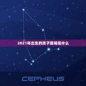 2021年出生的孩子属相是什么，2021年1月底出生的宝宝属什么