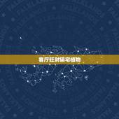 客厅旺财镇宅植物，客厅放什么植物旺财而且全家身体好？