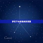 梦见下水抓鱼掉淤泥里，梦到为了抓鱼掉水里又自己上岸