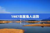 1987年属兔人运势，2022 年87年肖兔女运势