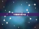 12星座介绍大全，十二星座的简介