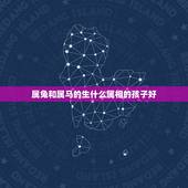 属兔和属马的生什么属相的孩子好，我属马，老公属兔，孩子属相？