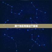 哪个地区有猫这个属相，哪个国家的属相里有属猫的