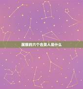 属猴的六个合贵人是什么，属猴子的六合生肖贵人是谁