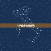 八字正缘桃花查询，八字中如何看正缘桃花