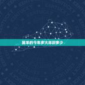 属羊的今年多大年龄多少，属马今年多大年龄2022