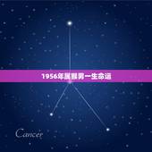 1956年属猴男一生命运，1956年属猴女人的命运