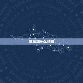 属龙跟什么相配，属龙与什么属相相配