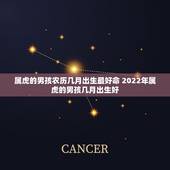 属虎的男孩农历几月出生最好命 2022年属虎的男孩几月出生好