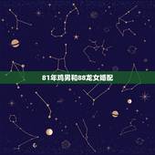 81年鸡男和88龙女婚配，81年属鸡男和88年属龙女婚姻怎样。