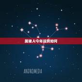 属猪人今年运势如何，查询一下属猪运气