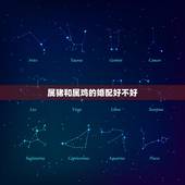 属猪和属鸡的婚配好不好，93鸡95猪结婚好不好