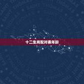 十二生肖配对表年龄 十二生肖最佳配对表格